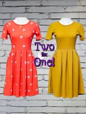 LuLaRoe | TWO for ONE | AMELIA KNIT BACK ZIP FLAIR DRESS